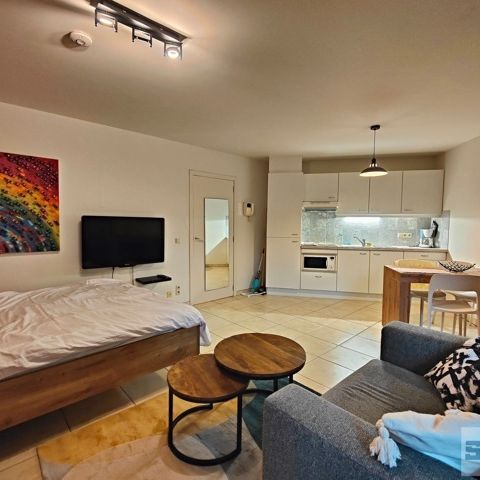 Studio - à louer - Photo 1