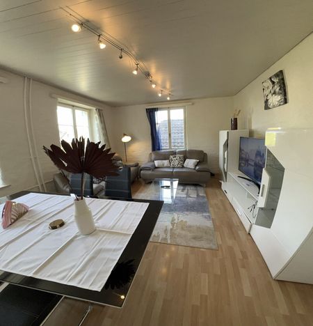 Beautiful 4.5-Zimmer apartment in Langnau am Albis Fully furnished | Ideal for families or groups - Foto 5