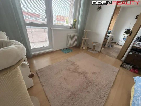 Byt 1+1 na Národní třídě, Hodonín - Photo 1