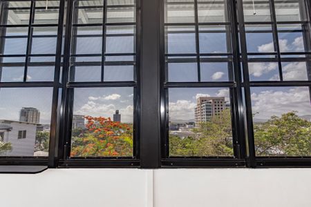 1/37 Hale Street, Townsville City QLD 4810 - Apartment For Rent | Domain - Photo 4