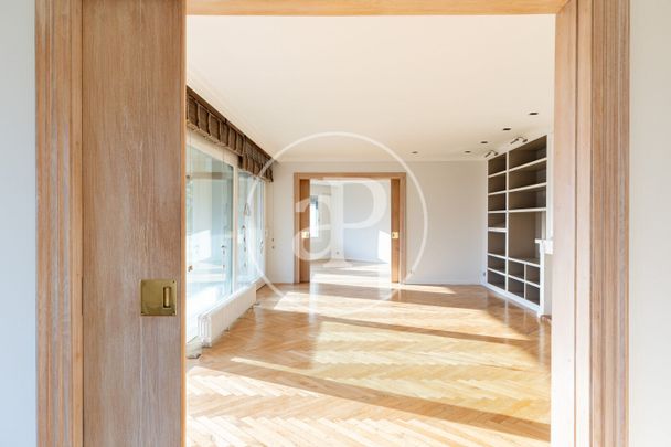 Apartment for Rent in Plaça Castelló - Photo 1