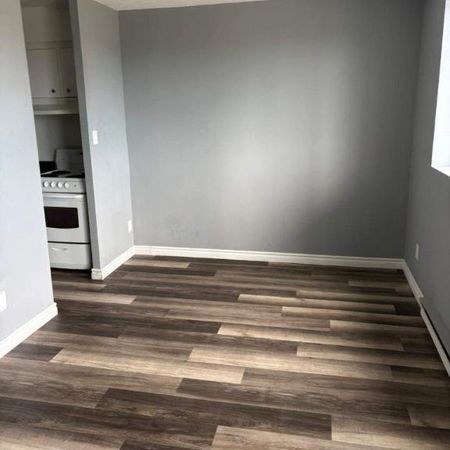 2 CH - 1 SDB - Gatineau - $1,695 /mo - Photo 3