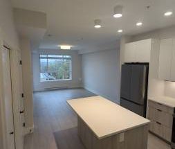 1 bedroom Maple Ridge (River View, Brand New) - Photo 3