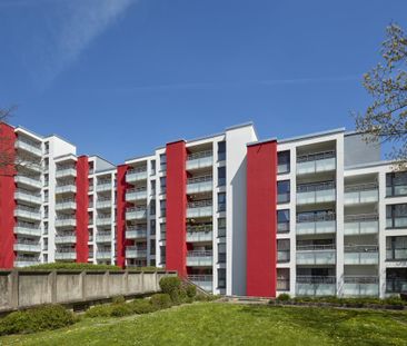 4-Zimmer Wohnung in Steinkuhl mit WBS - Photo 1