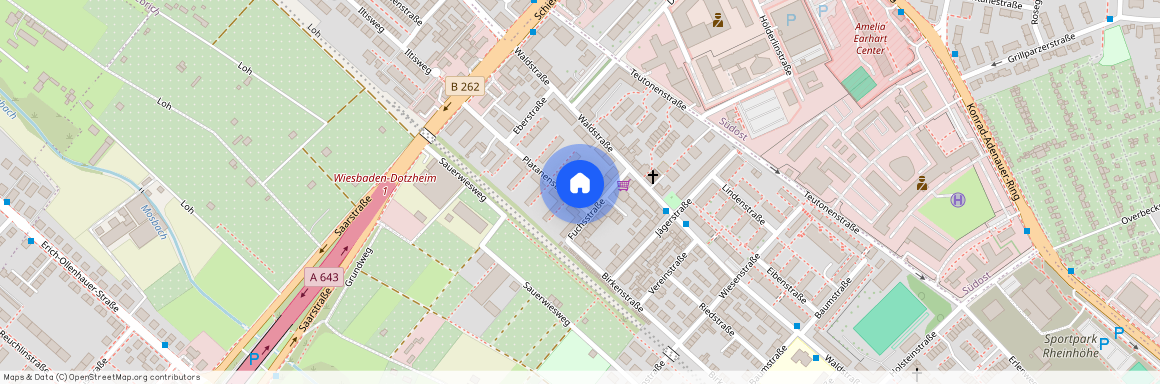 Platanenstr. 3, 65187, Wiesbaden Ot Biebrich