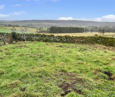 2 bedroom cottage to rent - Photo 4