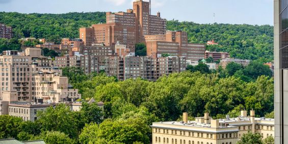 1 1/2 - 4000 De Maisonneuve Blvd. West, Montréal - Photo 3