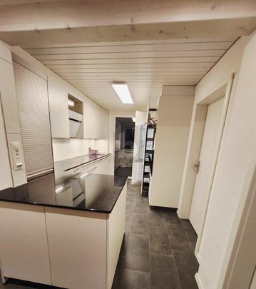 MODERN MIT GROSSEM GARTEN UND TERRASSE - Photo 1