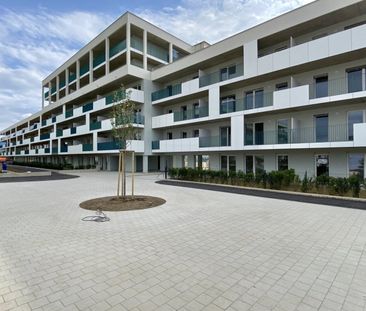 schöne, unbefristete Wohnung in guter Lage mit Balkon - Photo 2