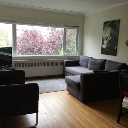 RENOVATED-AVAILABLE April 1st-Pet Friendly Furnished 1 BR @ 1540 Haro - Photo 1