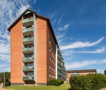 Kurirgatan 8C - Photo 3