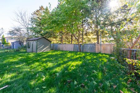 For Lease - 15 Riant Street Unit# Bsmnt A, Toronto, Ontario - Photo 4