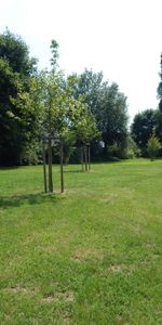 Wohn(t)raum: günstige 2,5 -Zimmer-Wohnung mit Balkon - Foto 3