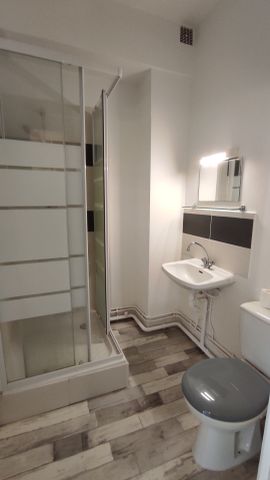 Location Appartement 1 pièce 27m² ORLEANS 45000 - Photo 4
