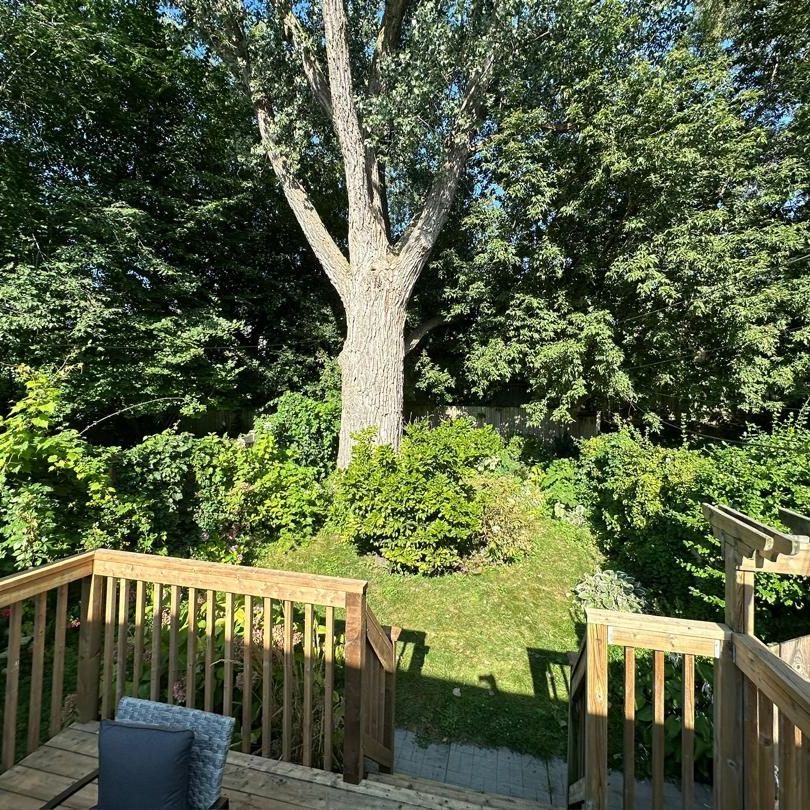 For Lease - 57 Highfield Road, Toronto, Ontario - Photo 1