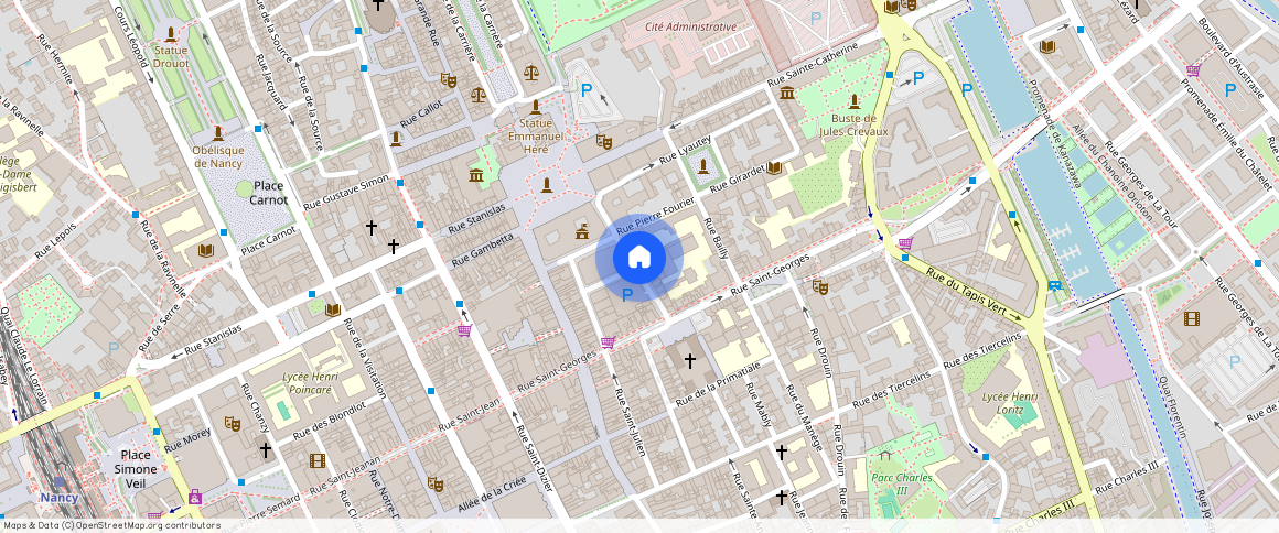 9-9 BIS RUE MAURICE BARRES, Charles Iii Nord Tiercelins St-Georges, Nancy