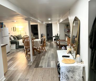 For Lease - 21 Delaware Avenue Unit# lower level, Toronto, Ontario - Photo 3