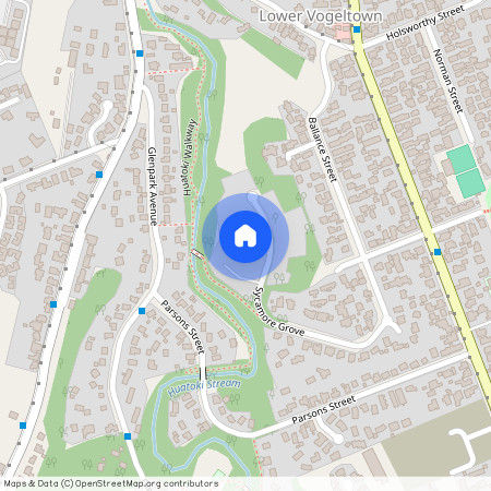 1/29 Sycamore Grove, Vogeltown, New Plymouth