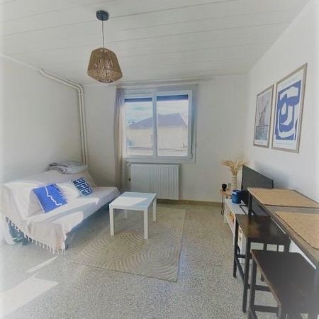 Location Appartement 1 pièce 20m² GAP 05000 - Photo 3