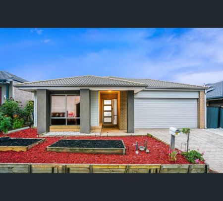 16 FLANNERY ST, Craigieburn, Vic 3064 - Photo 4