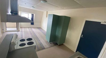 Chic 3BR Te Aro Apt - Central Living! - Photo 3