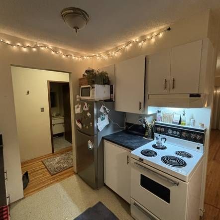 Large Quiet 1 Bedroom apartment in North Burnaby! - Photo 3