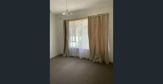 Light-filled 3-Bed Family Home with Huge Rumpus on Corner Block - Photo 1