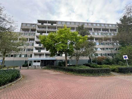 Te huur: Appartement Waleweinlaan in Geldrop - Foto 4