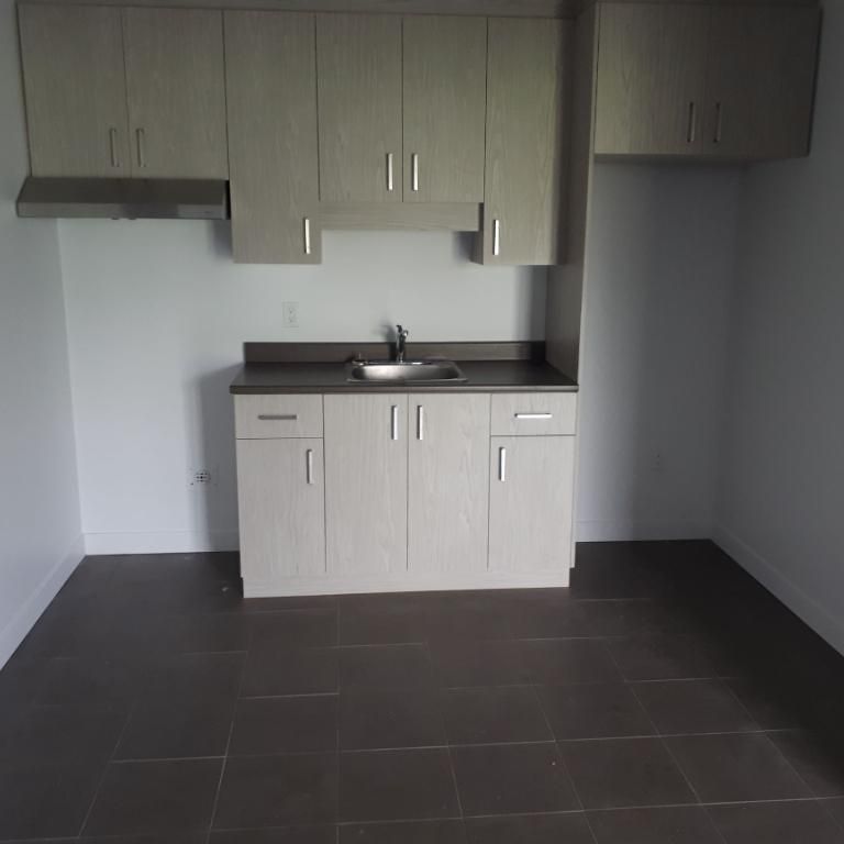 SUPERBE 3 ½ ENTIÈREMENT RÉNOVÉ - LIMOILOU - 995$ CHAUFFÉ,EAU CHAUDE - DISPONIBLE MAINTENANT OU POUR OCTOBRE OU NOVEMBRE - Photo 1