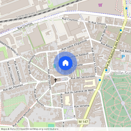 44 Rue Druelle, 59000, Lille