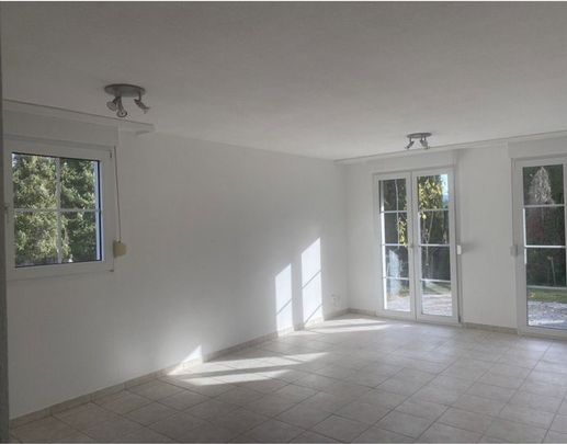 2.5 Zimmer, 52 m², EG - Foto 1
