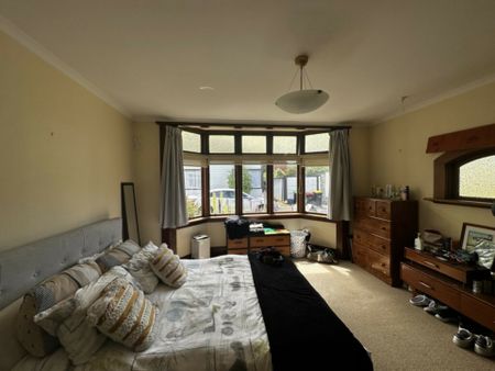 Sunny and cute! - Photo 3