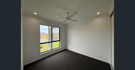 Brand New Spacious Open Plan Family Living in South Maclean - Photo 2