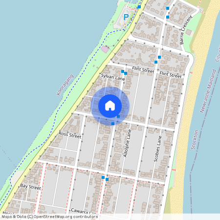 163 Douglas Street, NSW 2295, Stockton