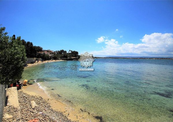 Villa near the sea