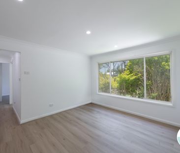 44 St Johns Drive, Croudace Bay NSW 2280 - House For Rent | Domain - Photo 1