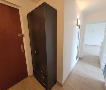 Location Appartement 1 pièce 29m² LILLE 59000 - Photo 6