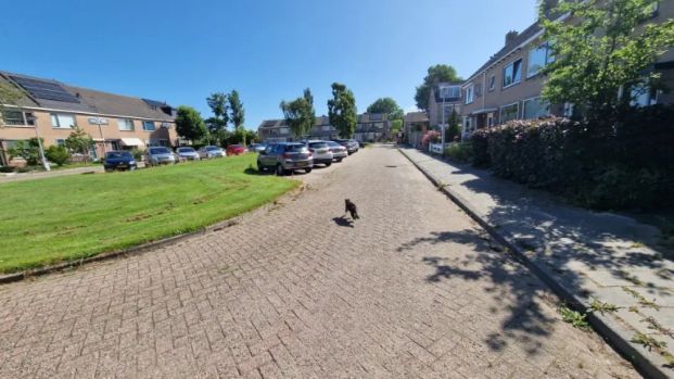Raiffeisenlaan 41 - Foto 1