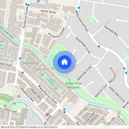 41 Dickson Place, Warriewood NSW 2102