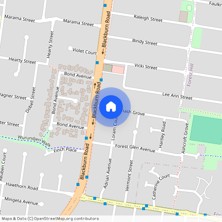 6 Monash Grove, Vic 3130, Blackburn South