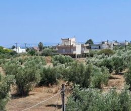 Μονοκατοικία για ενοικίαση - Αυλίδα, - Photo 5