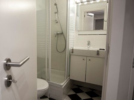 Möblierte Wohnung in Brüssel - Photo 5