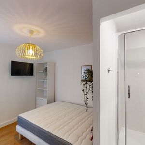 MIDI D Roommate 4 Bedrooms at Toulouse - Photo 2