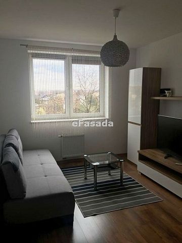 EFS-MW-270 Mieszkanie na wynajem - Zdjęcie 4