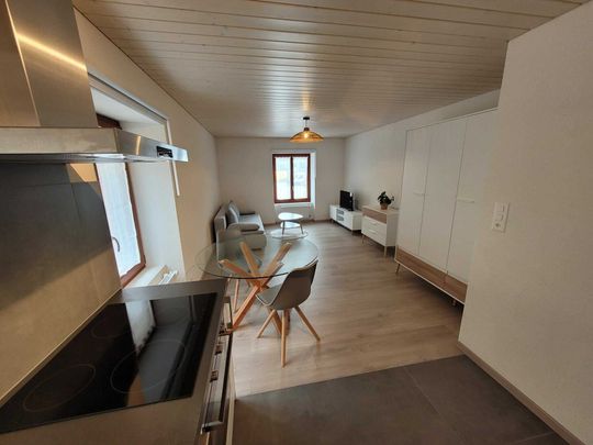 Furnished apartment in Val-de-Travers - Foto 1