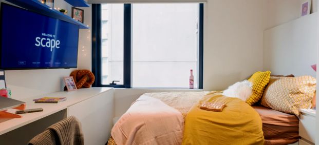 1 Bed Suite - Photo 1