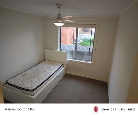 Elizabeth North - Photo 2