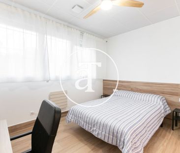 Monthly rental Studio with 1 bedroom, 1 bathroom in Latina - Photo 2