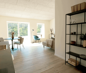 Elmehusene 73 - Photo 5