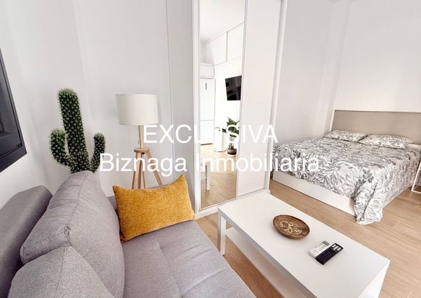 Alquiler de estudio en Avenida de España, 1